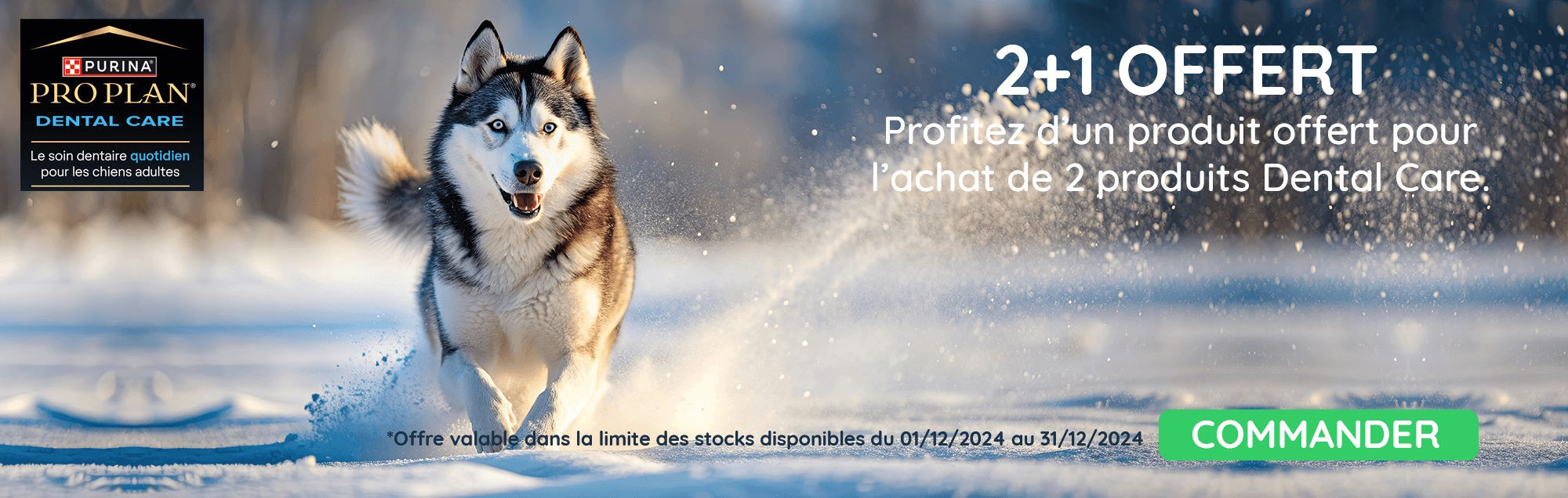 banniere-antiparasitaire-desktop-mars-2024-min